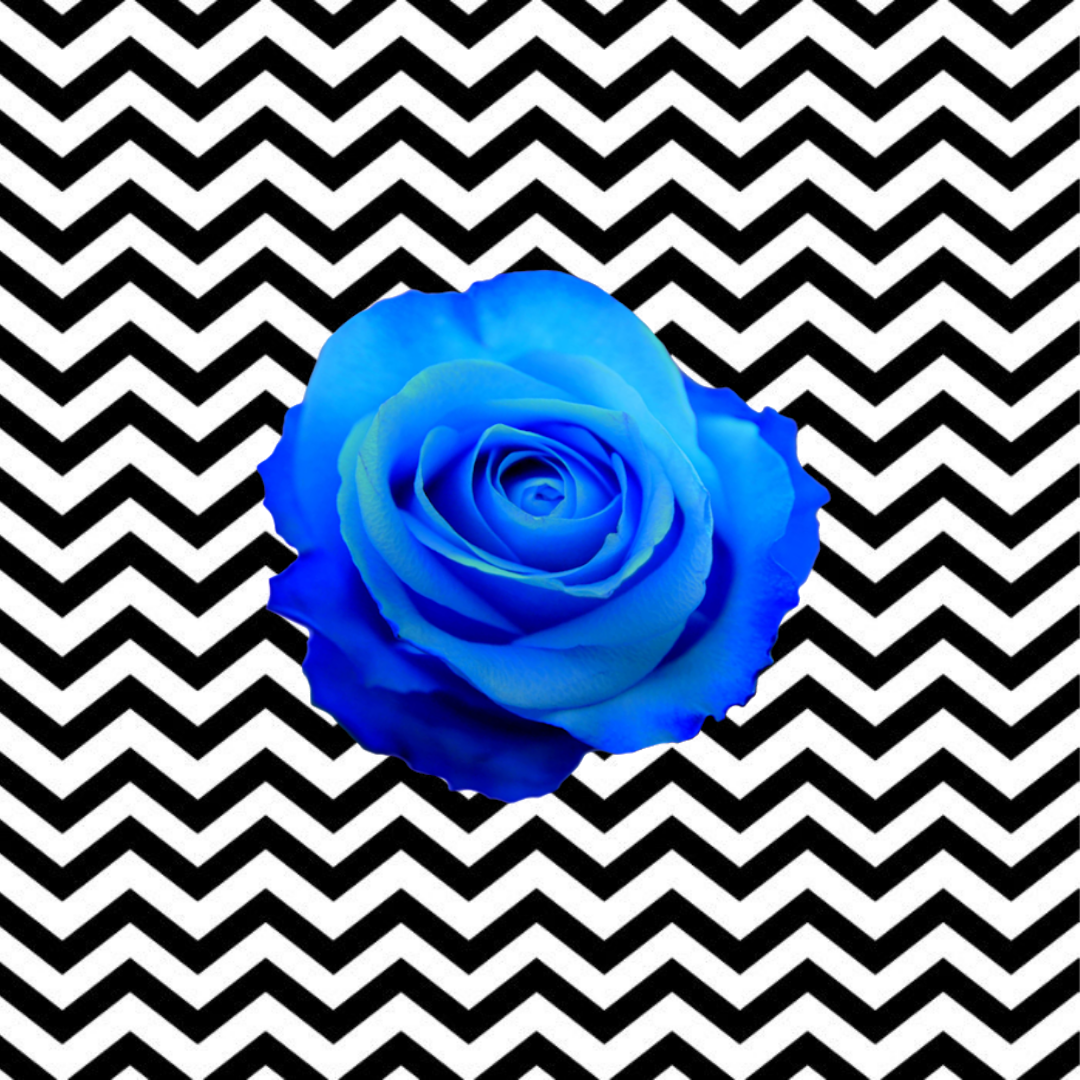 Blue-Rose-Image.png